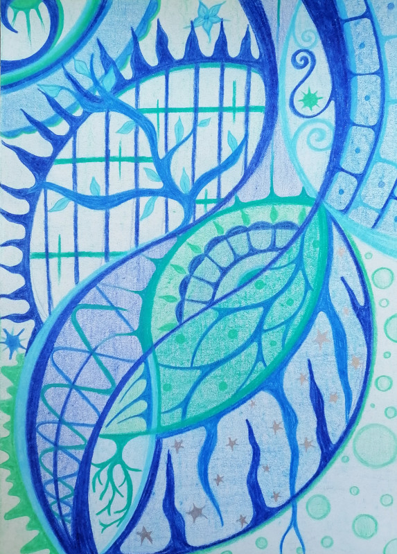 2018-41-24.05-SelfLimitation