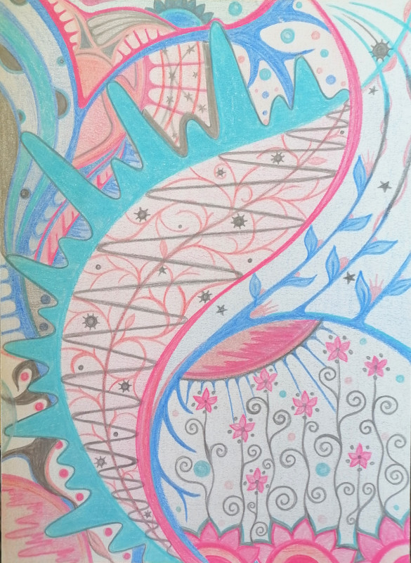 2019-18-12.05-OrdoAbChao