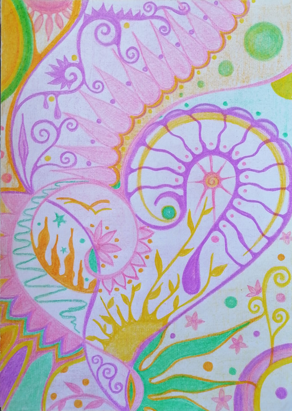 2019-24-01.07-ShapeShifter