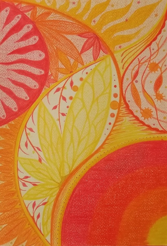 2021-27-12.12-Solara2021